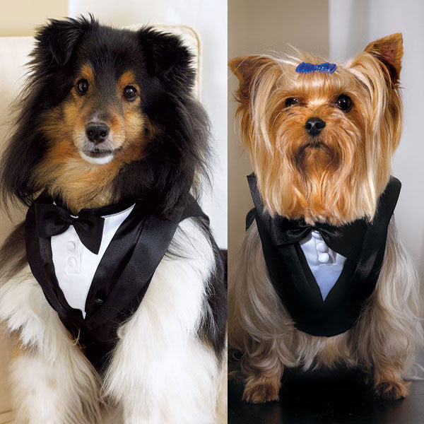 Pet Tux Large